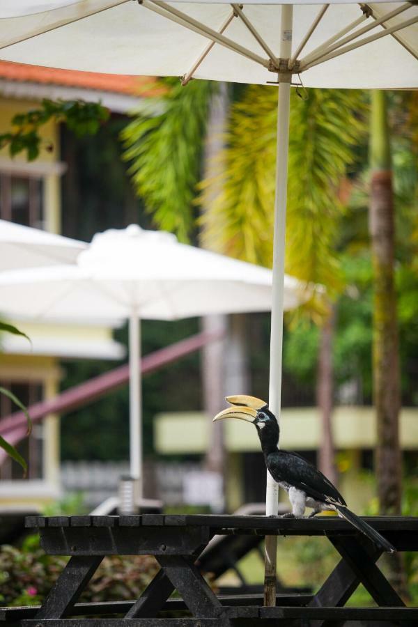 Anjungan Beach Resort Kampung Teluk Nipah Eksteriør billede